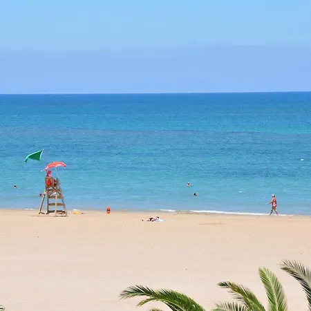 奥库洛公寓 德尼亚